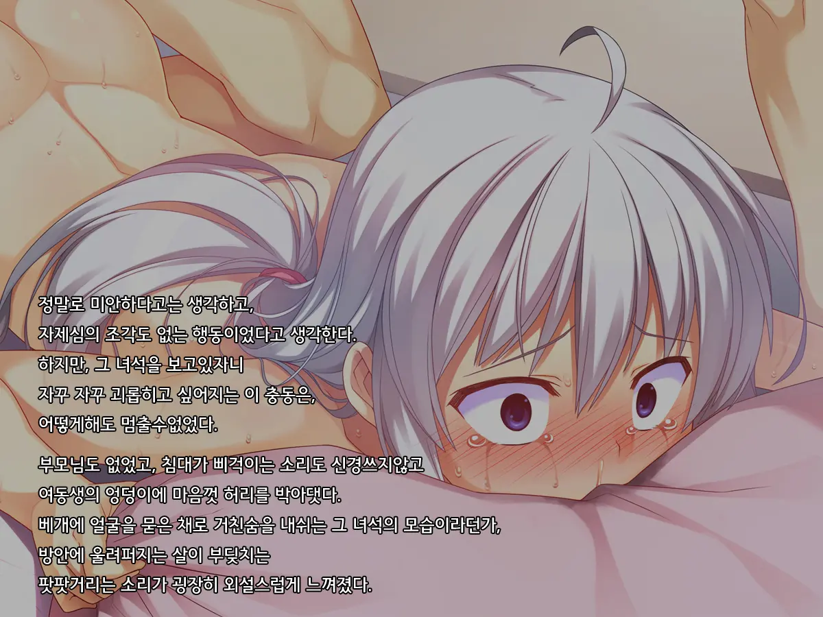 Onii-Chan No Hanbun Wa Yokubou De Dekiteimasu 2